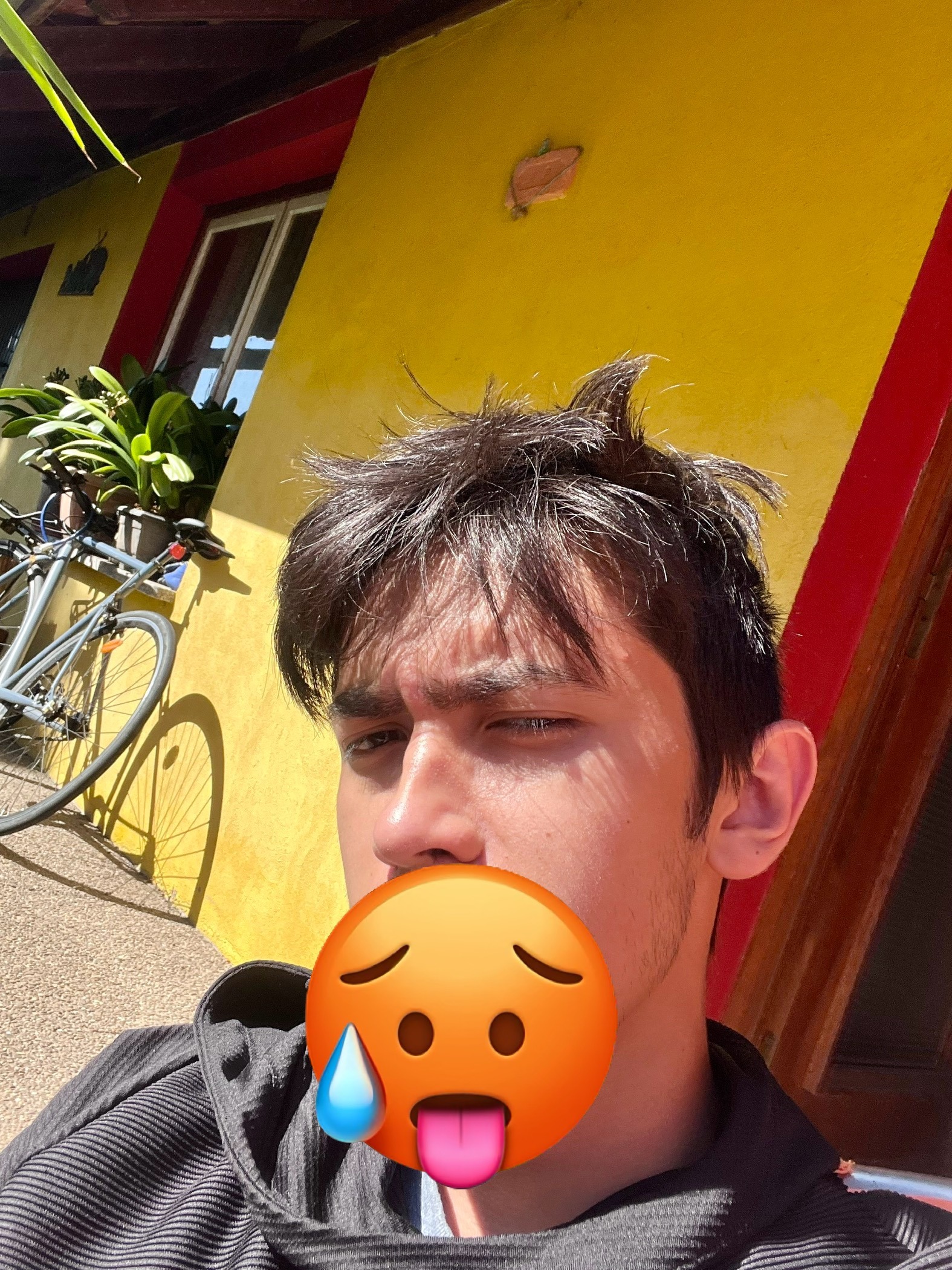 Profil de Cemil, 22 ans, Trans à Useldange