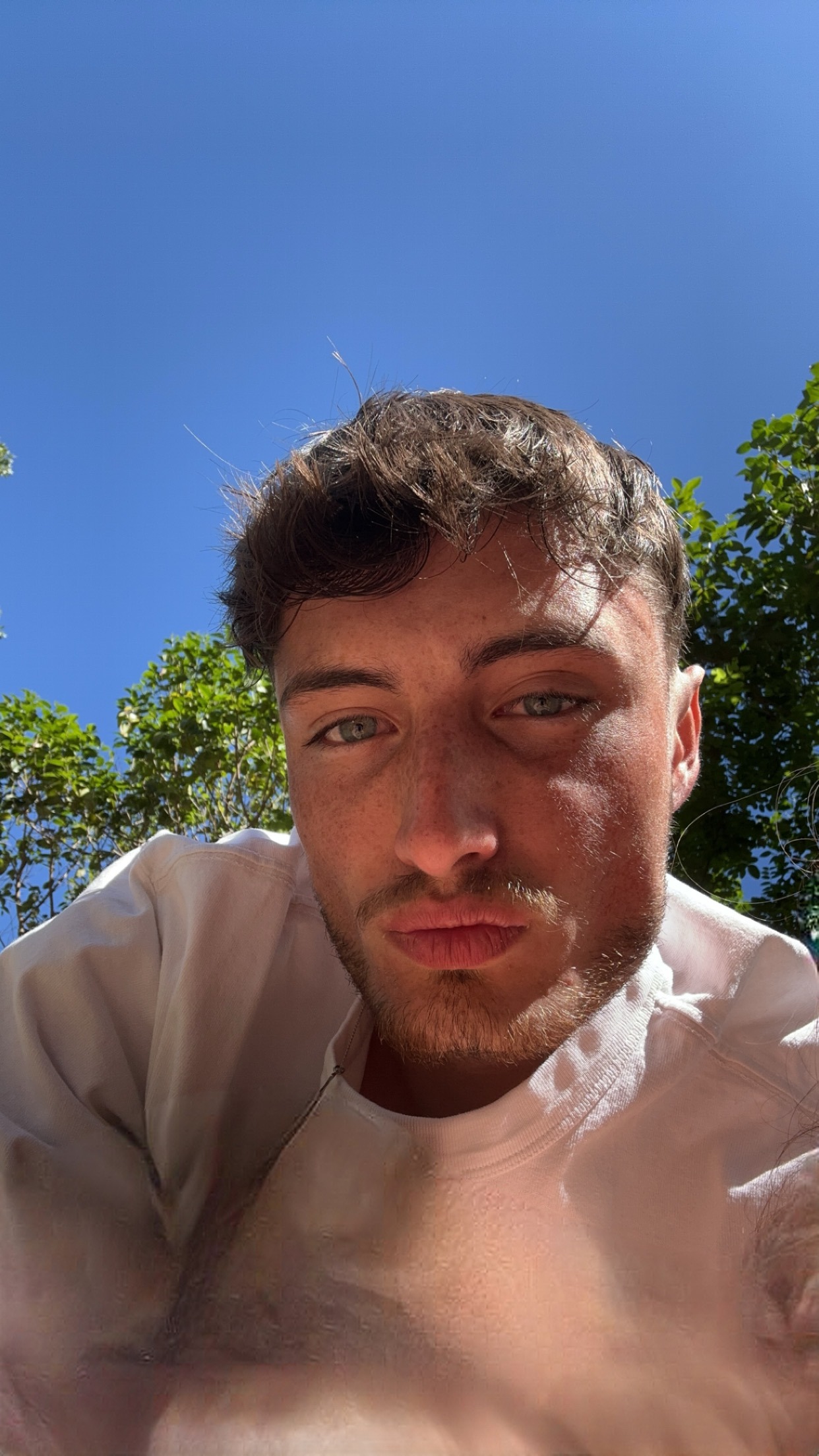 Profil de Philibert, 24 ans, Trans à Olm